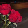 userrmm78rrofi