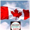 🇵🇰✫【𝓢𝓗𝓐𝓝𝓘】✫🇨🇦
