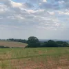 jessdawson10