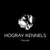 hograykennelsmw