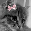 user1181814077051w