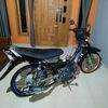 pajarrpeking59