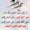 user2974011261838