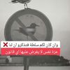 user4tqis5kwx1