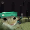 tgkk_estrpulmao