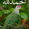 zeyad.ehab72