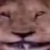 aazzzxz1