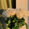 sy_aish21