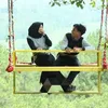 amak_han