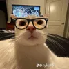 whosxenooo