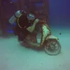 cptnmauci