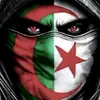 user234779612211