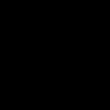 starxbiee