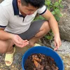 Trung đang làm
