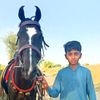 rabibasharat761