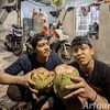 PASUKAN (ROMBONGAN_NYENI) SEES