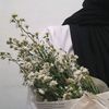name_hily