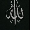 kenzakenza4550