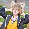 maple_0221_
