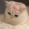 fannyayu85