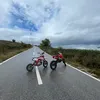 dardannpeci