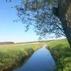 kasia_858