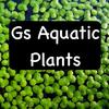 gmansaquaticplants