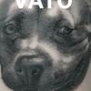 vato2334