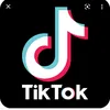 tiktoksecurity_01