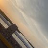 gcv_84