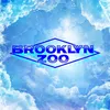 brooklynzoouk