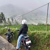 damva_63