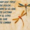 veritoporsiempre2