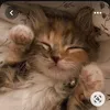 yesenka_