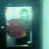 lizi_bedumb