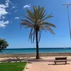 artist_on_tiktok_