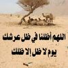 userm96gxazxck