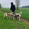 crazydoglady221