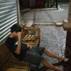 vizrdzjjs