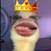 zxzx.yulii