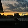 leaflet_1028