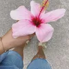 just__call__2