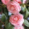 loubnabenali557