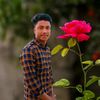 user8066611434779