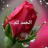 ashraf.mohamed382