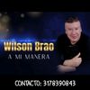 wilsonbrao