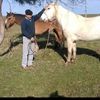 user4270004073596