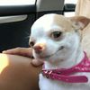nikkimr0
