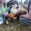ivyy_farm