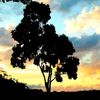 kevaughnbernard27